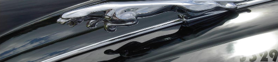 IPB Image