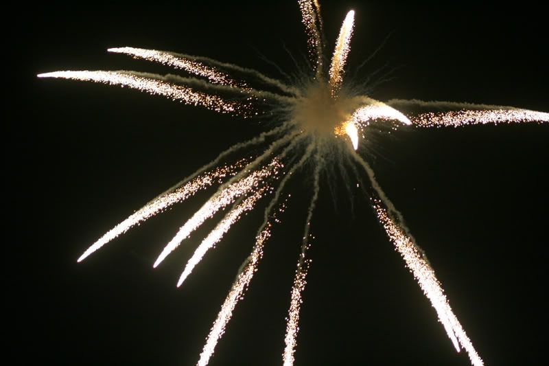 fireworks110.jpg