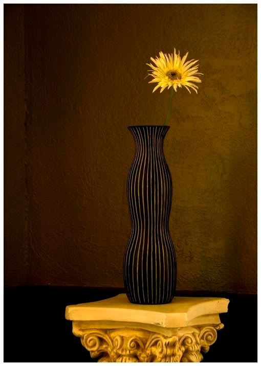 Vase and Flower, Scott Bulger Photography