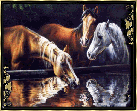 226176mcqfqzic4b.gif Glitter Horse image by Cher_777