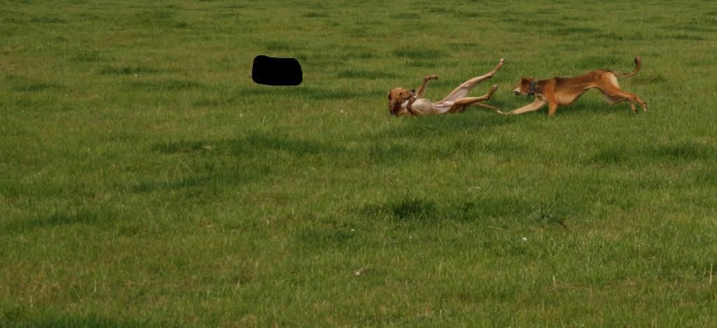 a8cfdc16-2aed-415c-8100-14c45cded0d2_zps