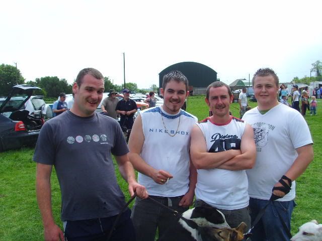 wexforddogshow005.jpg