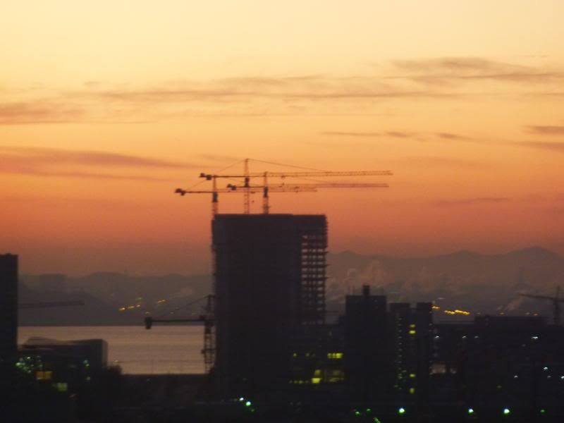 P1000845.jpg