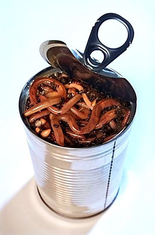 istock_can-of-worms.jpg