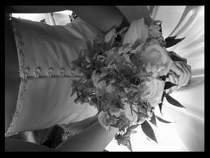 IPB Image