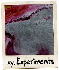 Xy.Experiments Photography Website[BannerMadeByNikki]