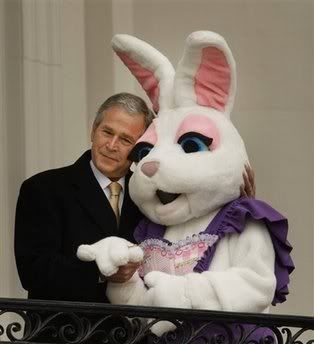 Bush-Rabbit-751680.jpg