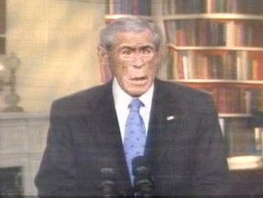 bush_chimp_address.jpg