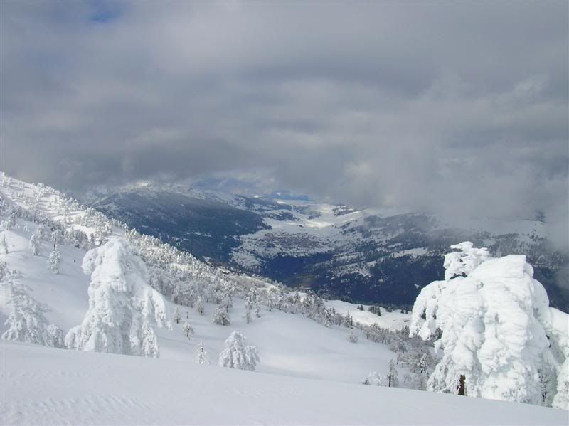 DSCN5236.jpg