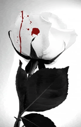 BloodStainedRose.gif rose blood image by dragons-daughter