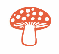 mushroom Pictures, Images and Photos