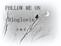 Follow on Bloglovin