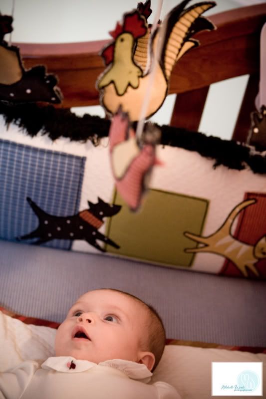 Michelle Wade Photography: Paig...