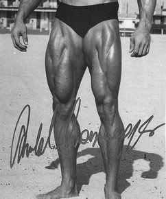 legs!