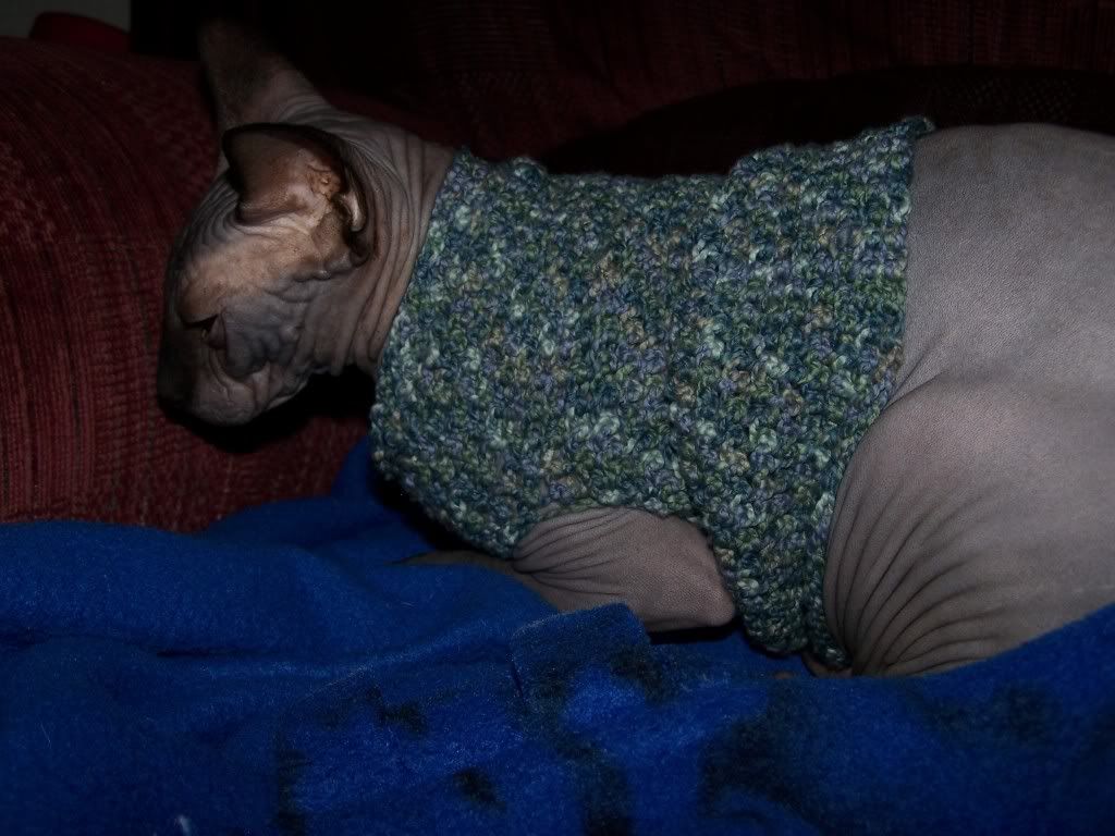 Warm Sphynx Cat Sweater Warm Sphynx Cat Sweater