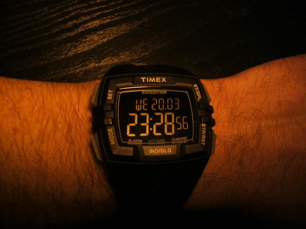timex t49900