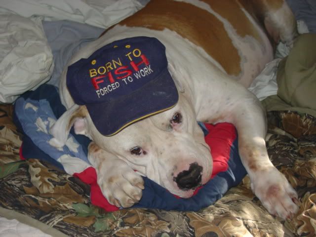 Picture054.jpg