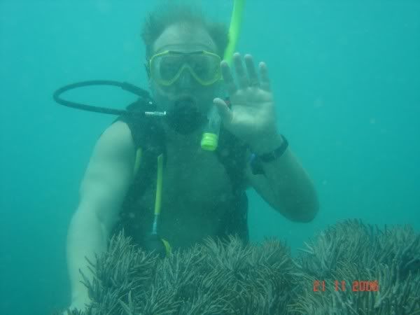 http://i67.photobucket.com/albums/h300/Wilso38/DSC01619.jpg