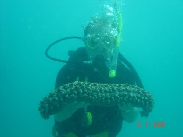 http://i67.photobucket.com/albums/h300/Wilso38/DSC01644.jpg