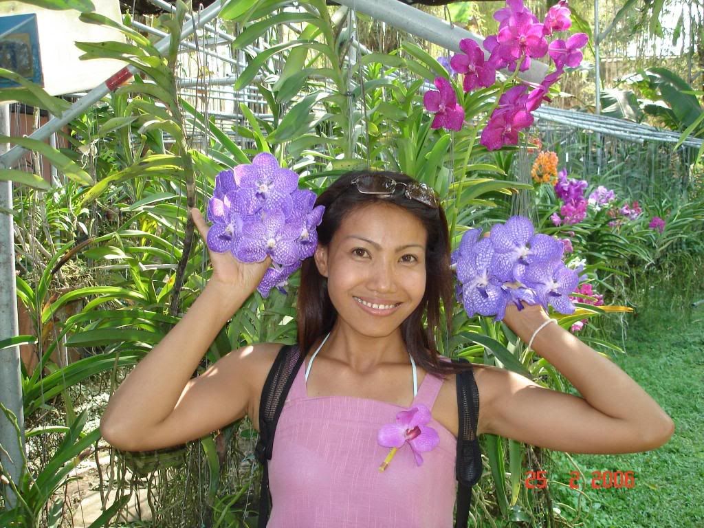 http://i67.photobucket.com/albums/h300/Wilso38/Friends730.jpg
