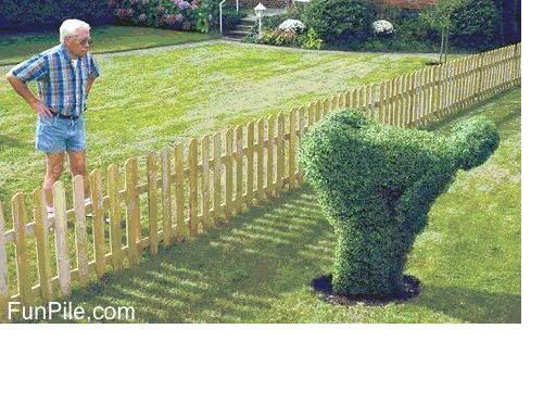 http://i67.photobucket.com/albums/h300/Wilso38/Things/Neighbours.jpg