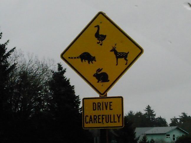 drive carefully sign Pictures, Images and Photos