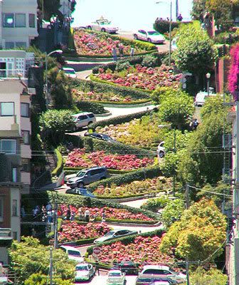 lombard street Pictures, Images and Photos