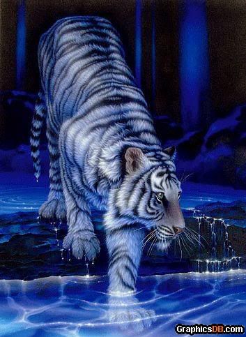 <img:http://i67.photobucket.com/albums/h303/stormylu/rp%20characters/White_Tiger.jpg?t=1269051333>
