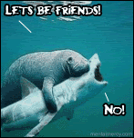Letsbefriends.gif image by commanderman02