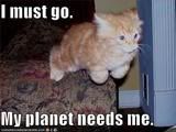 kitteh.jpg image by commanderman02