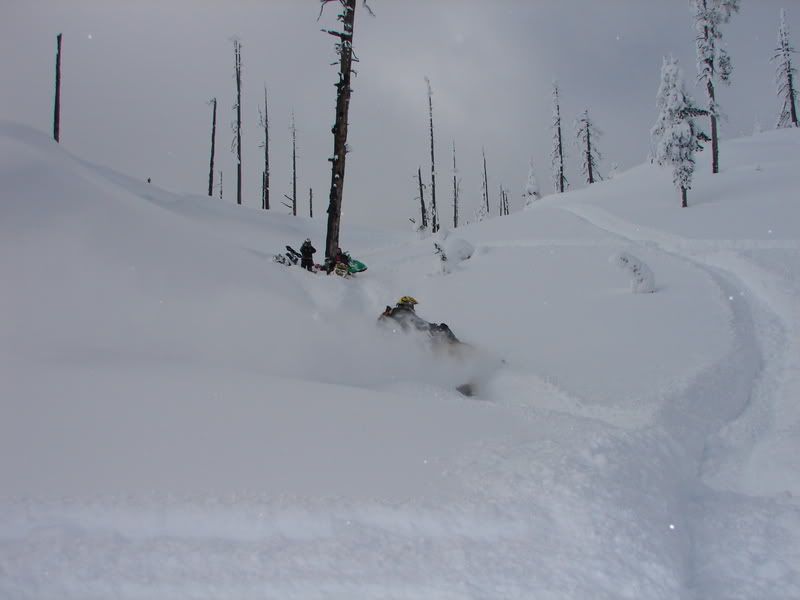 montana2007-2008009.jpg