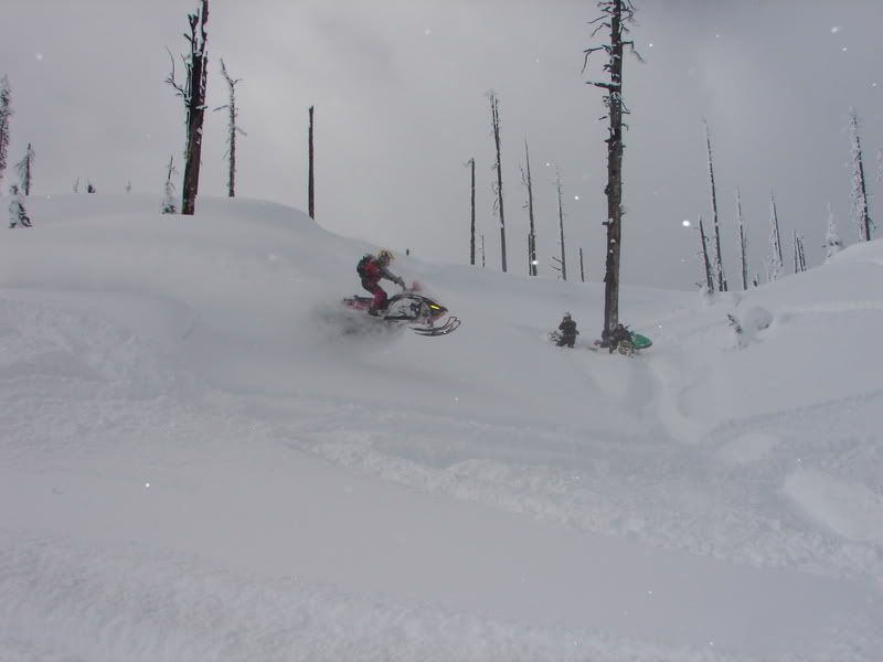 montana2007-2008013.jpg