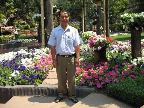 My Father2
