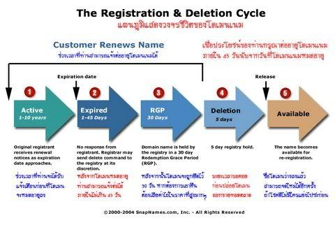 Domain Name Life Cycle