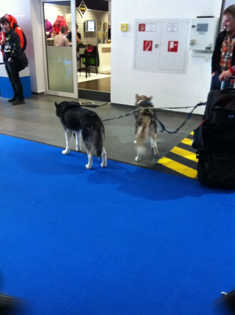 ispo munchen