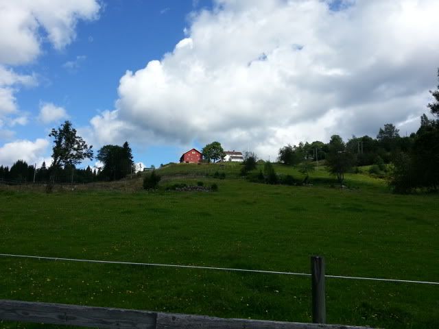 plukke blåbær