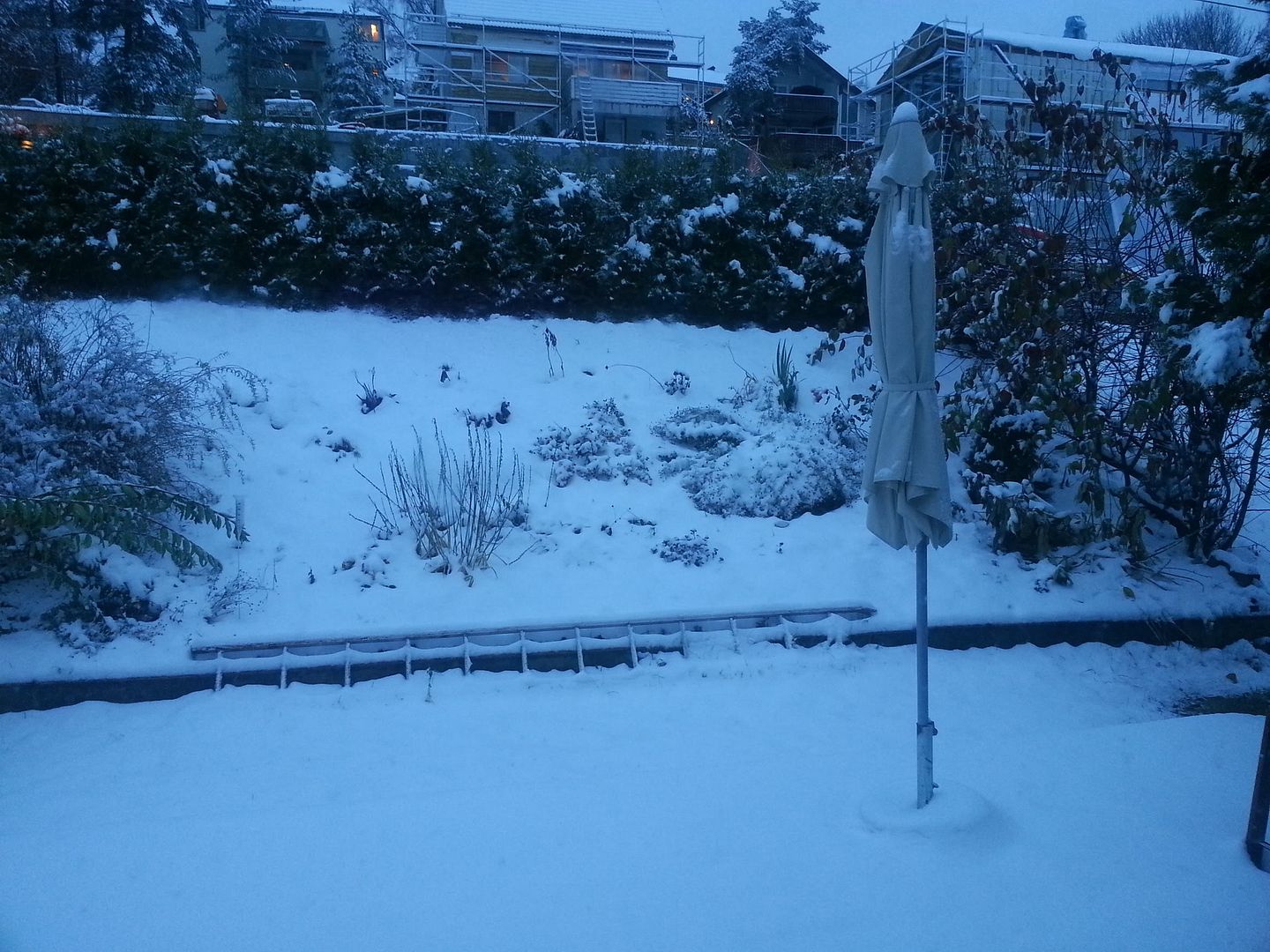 snø lokaltransport
