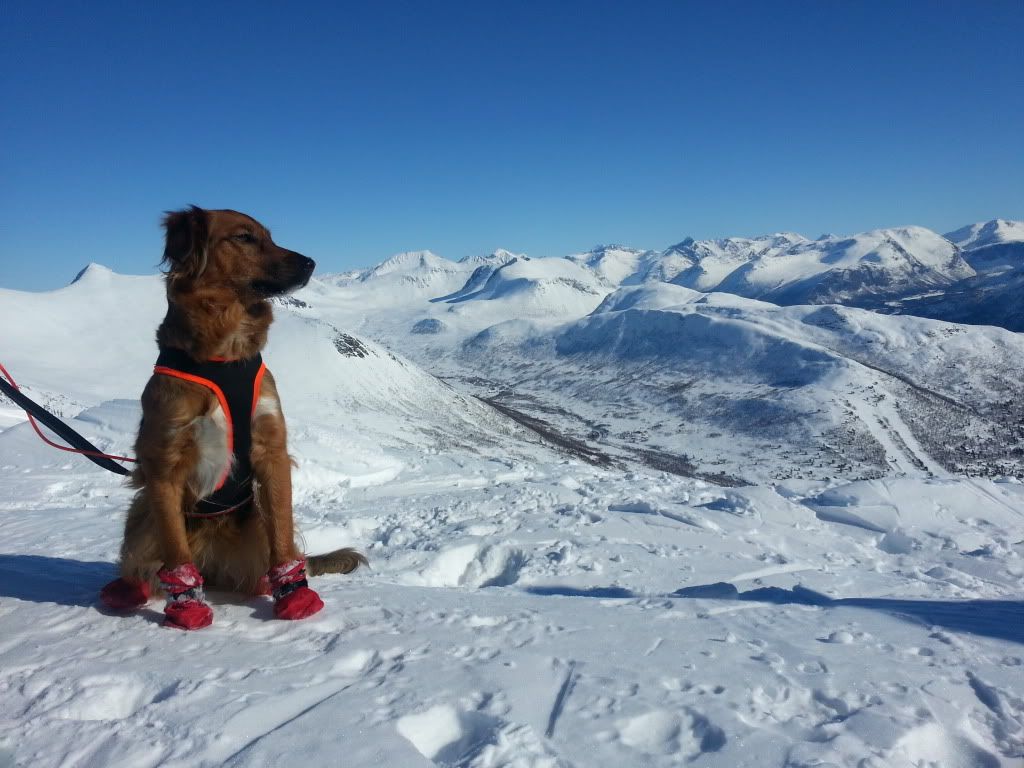 romsdal topptur