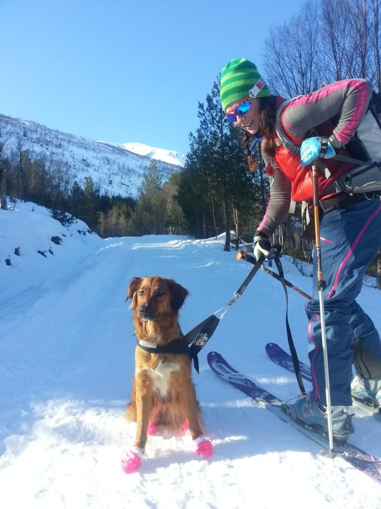 romsdal topptur