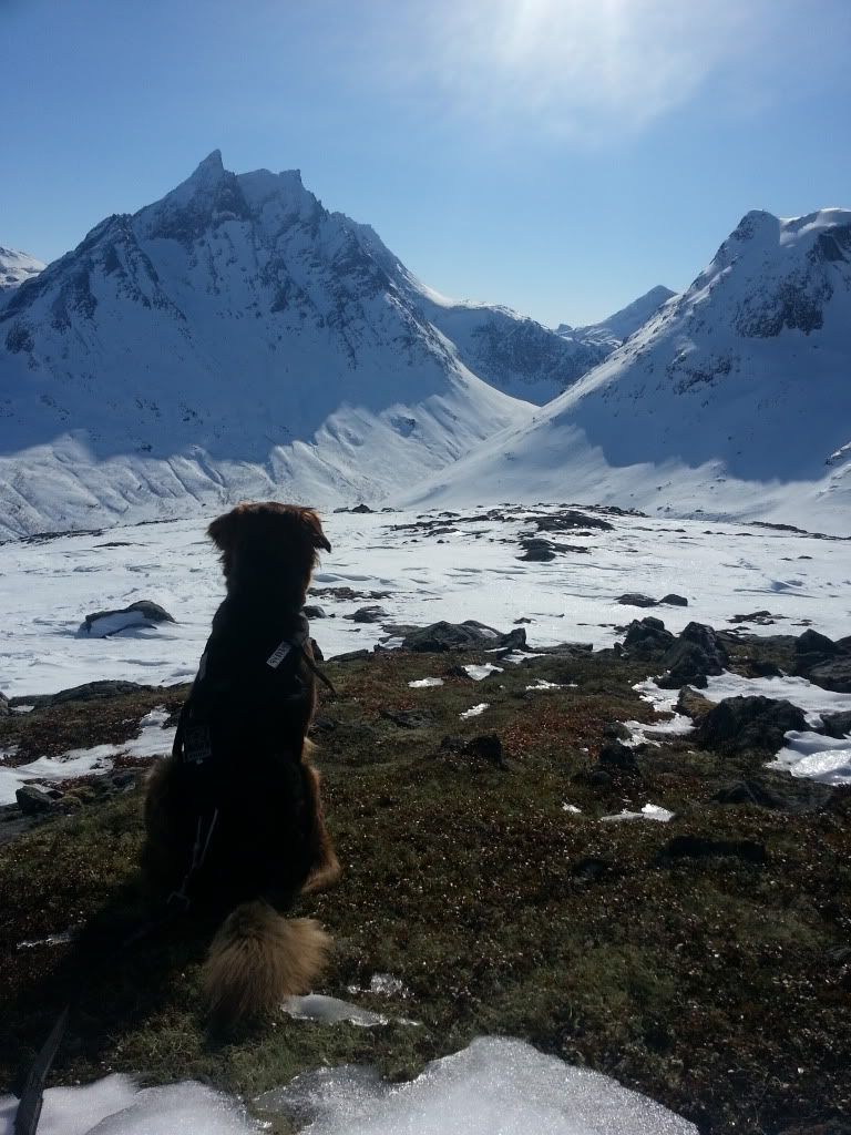 romsdal topptur