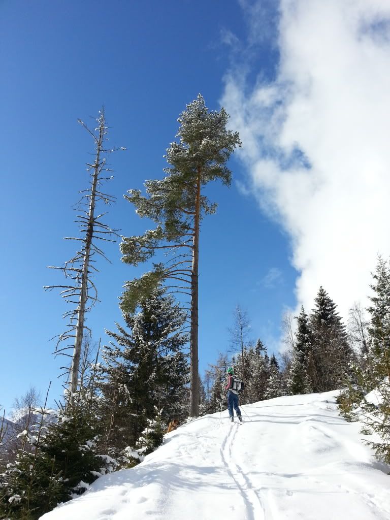 romsdal topptur