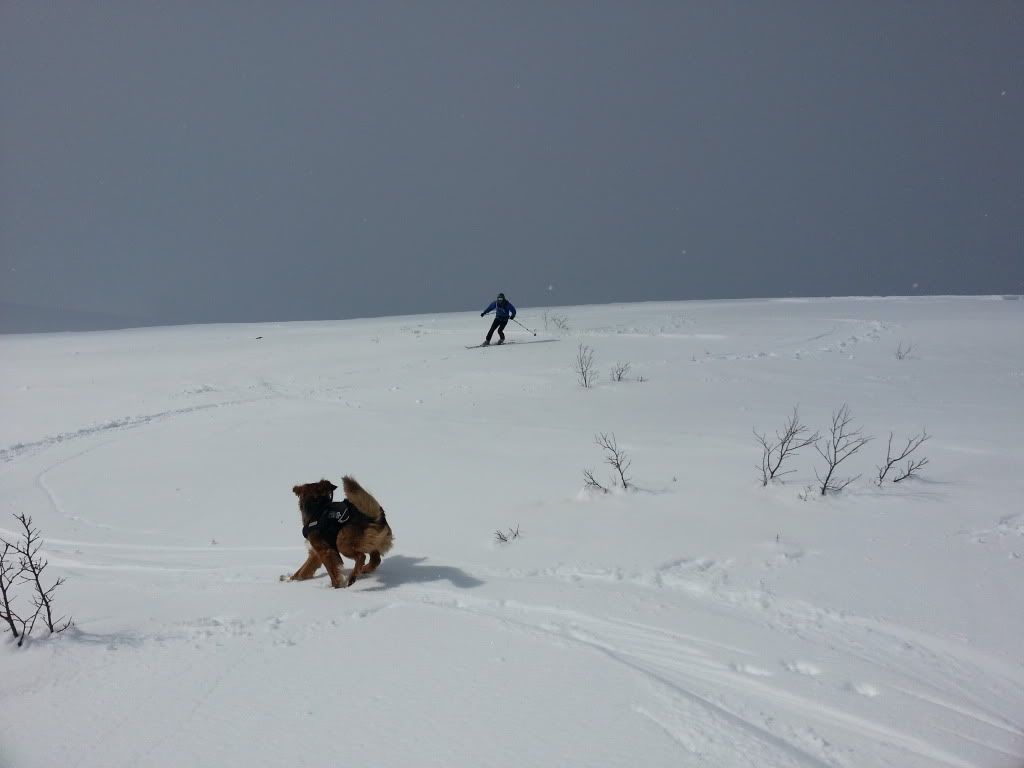 romsdal topptur