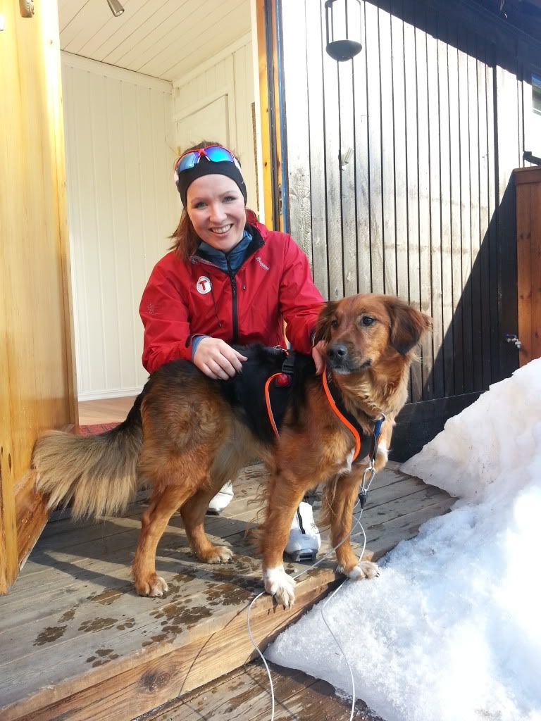 langrenn med hund