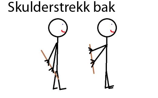 funksjonell trening
