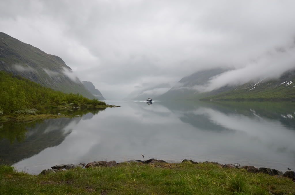 besseggen bukkelægeret