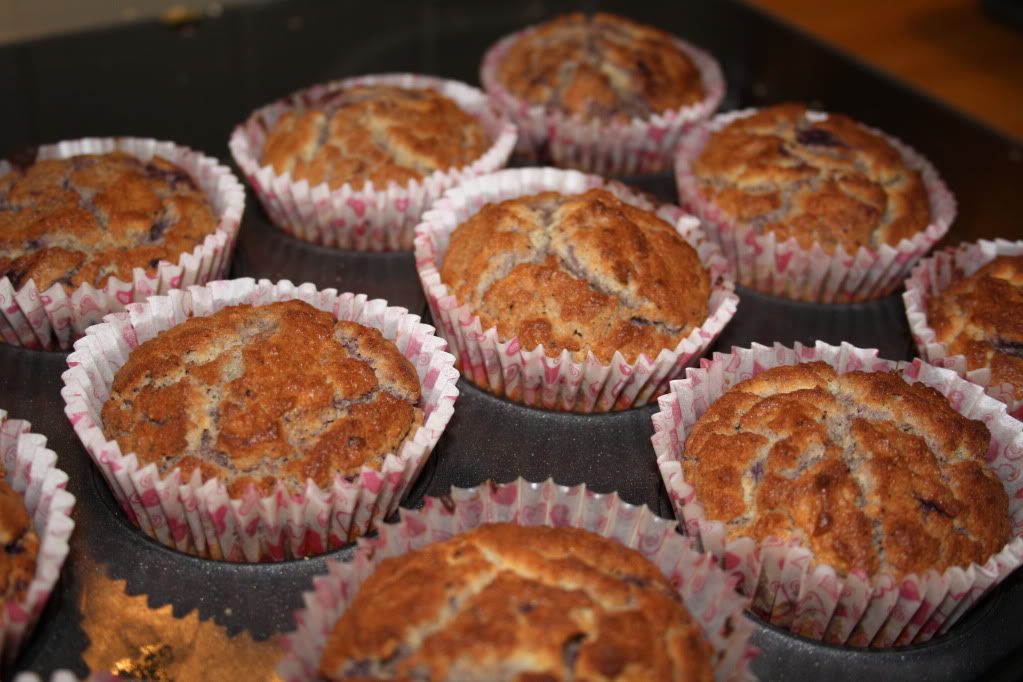 lchf lavkarbo cupcakes muffins