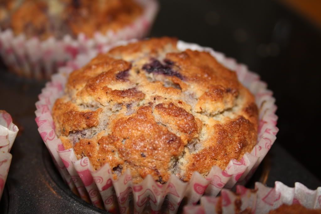 lchf lavkarbo cupcakes muffins