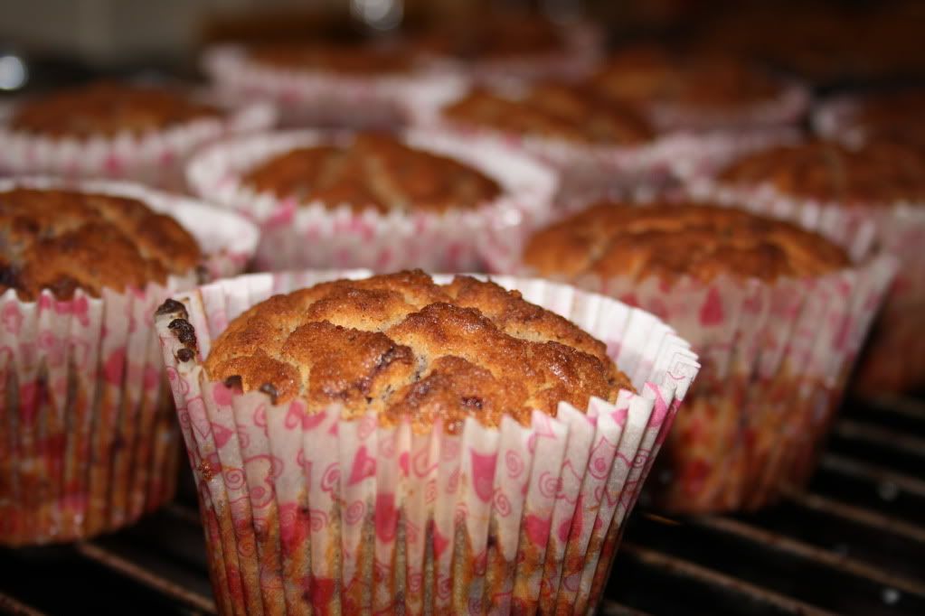 lchf lavkarbo cupcakes muffins