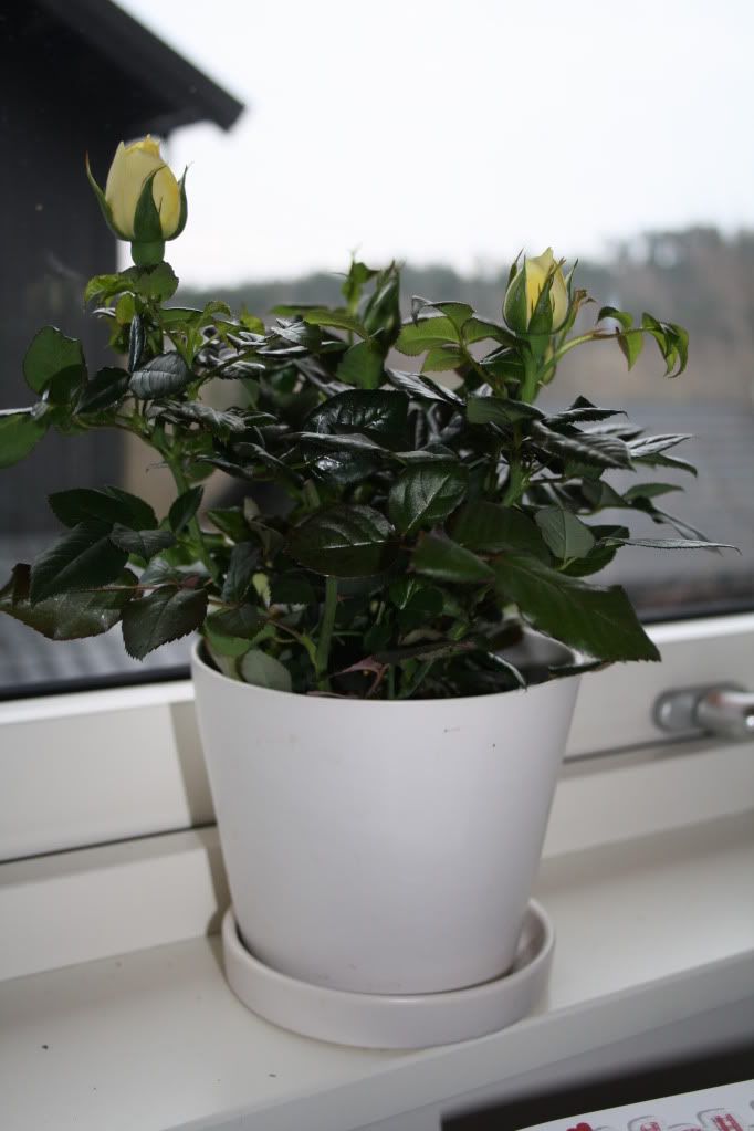 påskestemning