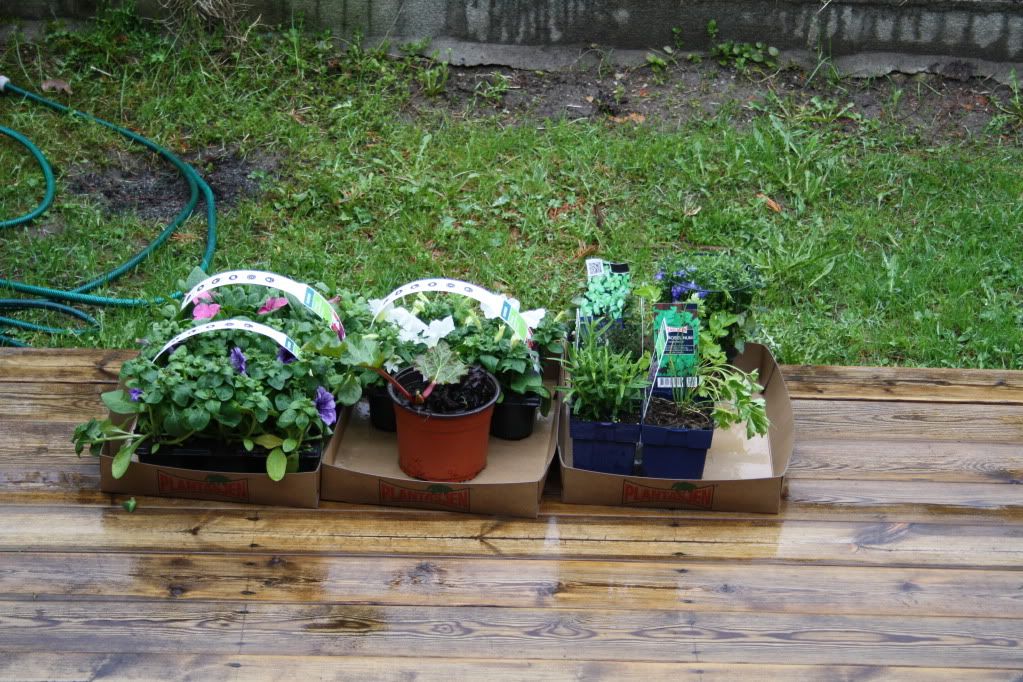 planter